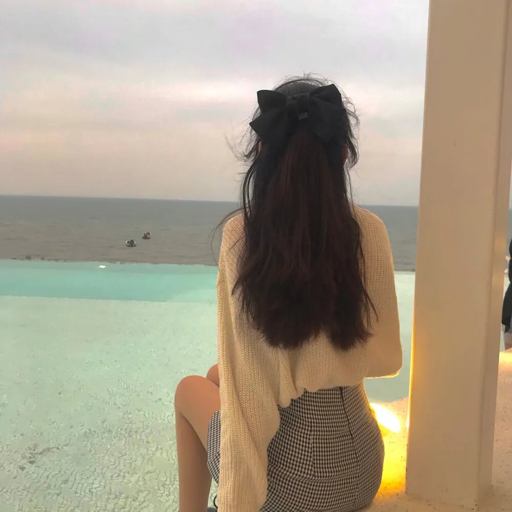 西域威龙 封面