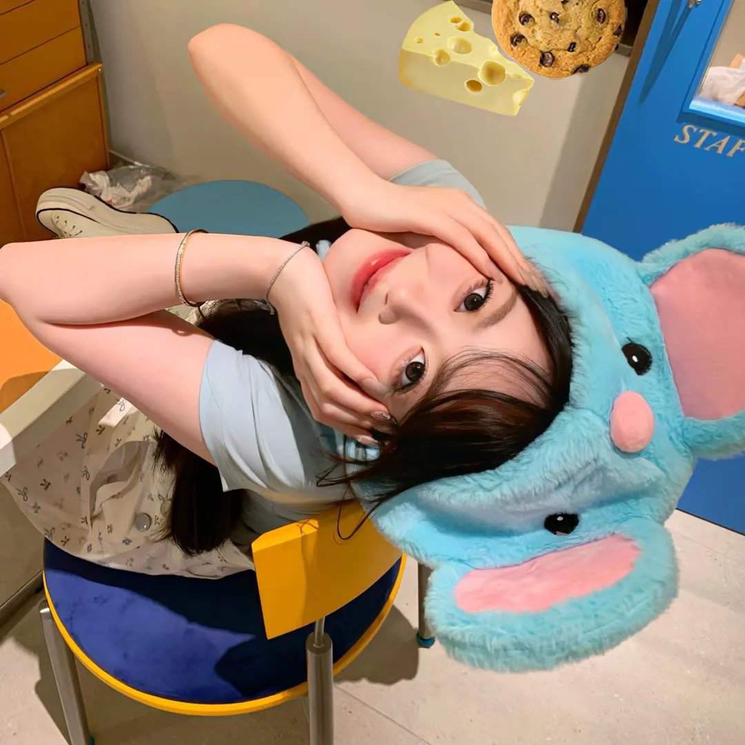 同等族群 封面