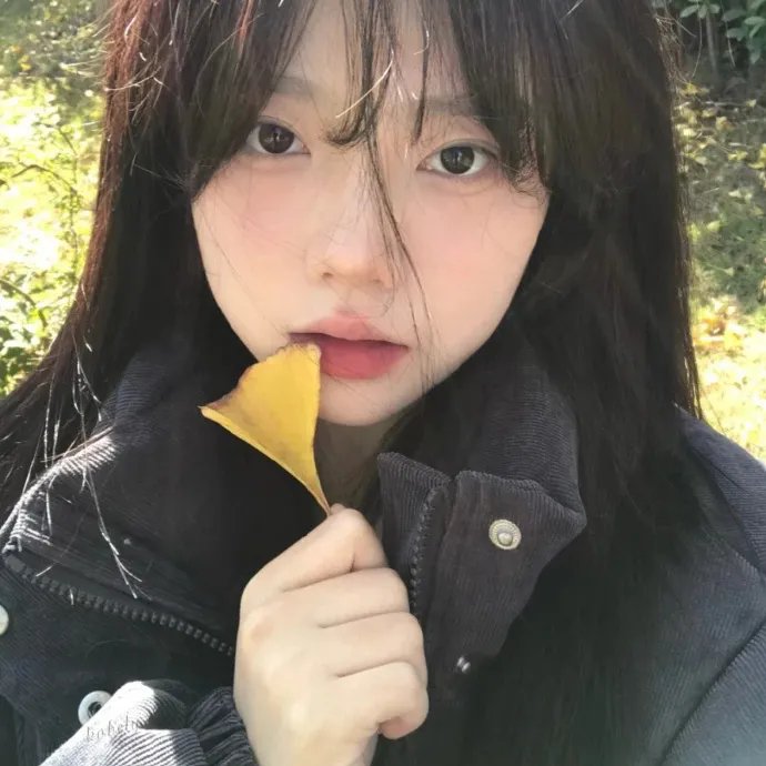 艳秘书 封面