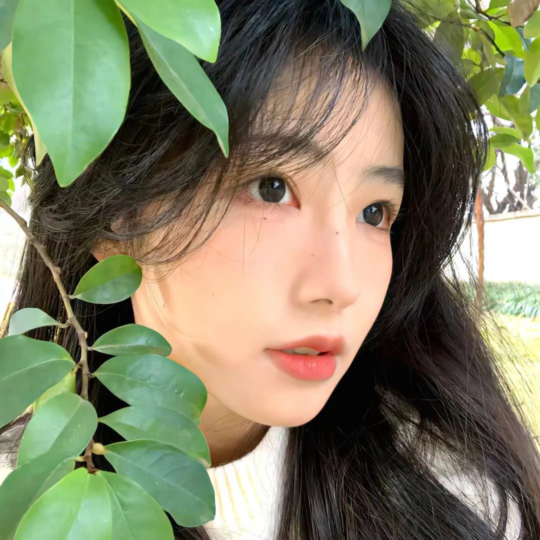 蜂蜜与四叶草第一季 封面