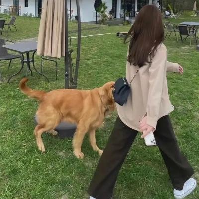 女演员们 封面